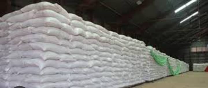 Mega Farm Solutions Limited Team